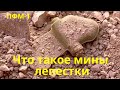 Что такое &quot;мины-лепестки. Мина ПФМ-1.