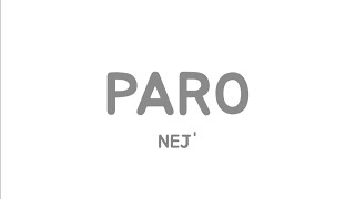 NEJ' - Paro (lyrics video)