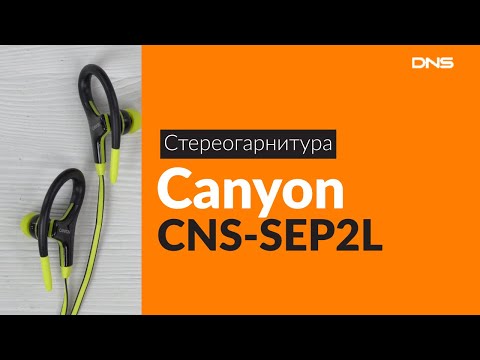 Распаковка наушников Canyon CNS-SEP2L / Unboxing Canyon CNS-SEP2L