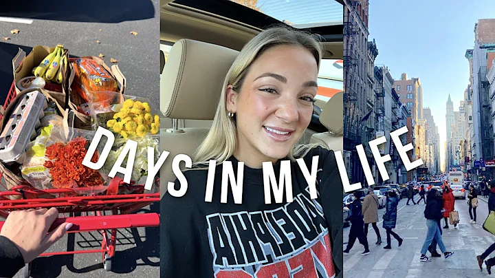 VLOG: getting lip filler, trader joes haul + last ...