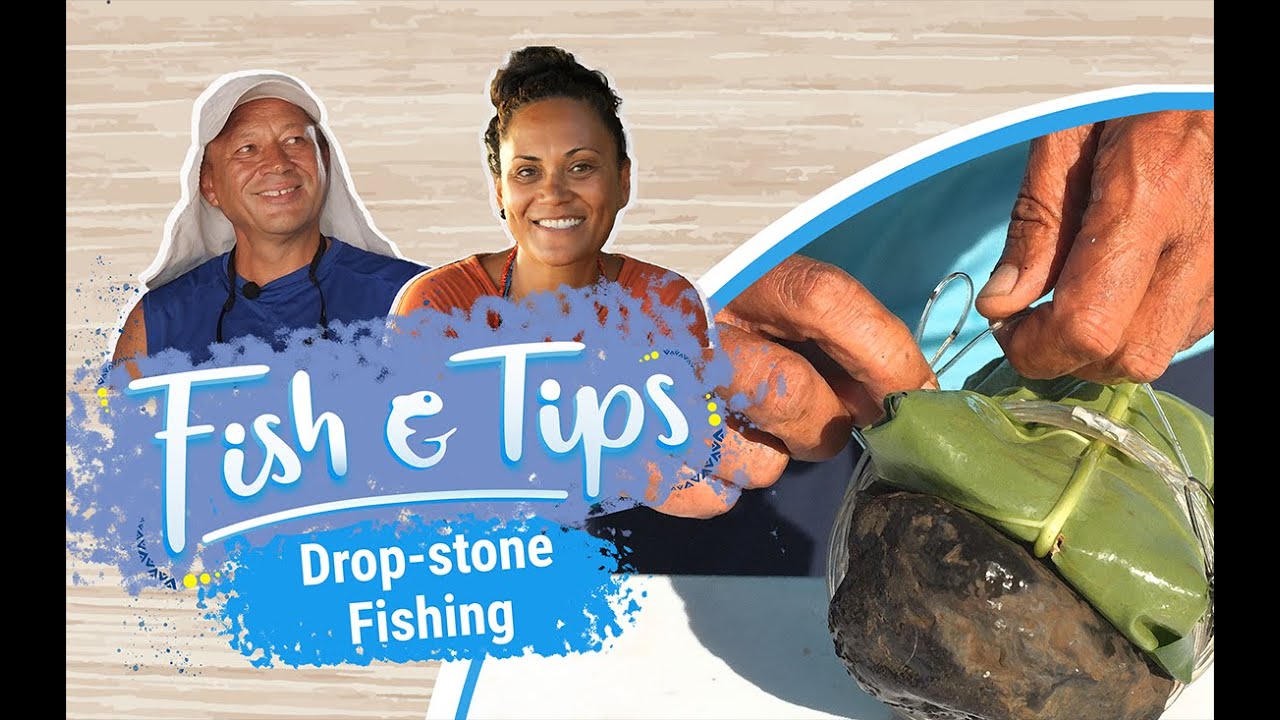 Fish and tips S1 Ep2(English) - Trolling 