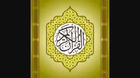 الشيخ عبدالمحسن القاسم _ سورة الزلزله