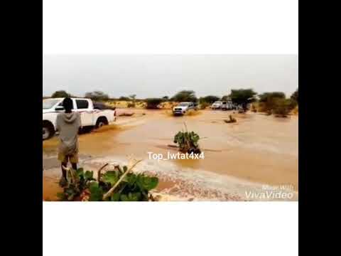 مراح البيضان الصحراء الغربية زيزو راجل الزين