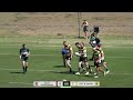 QLD Suburban vs ACT & SNSW Griffins Live Stream | Australian Rugby Shield Men's Division 2023