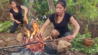 Catch and cook chicken for food of survival - Spicy chicken roasted for lunch, Eating delicious