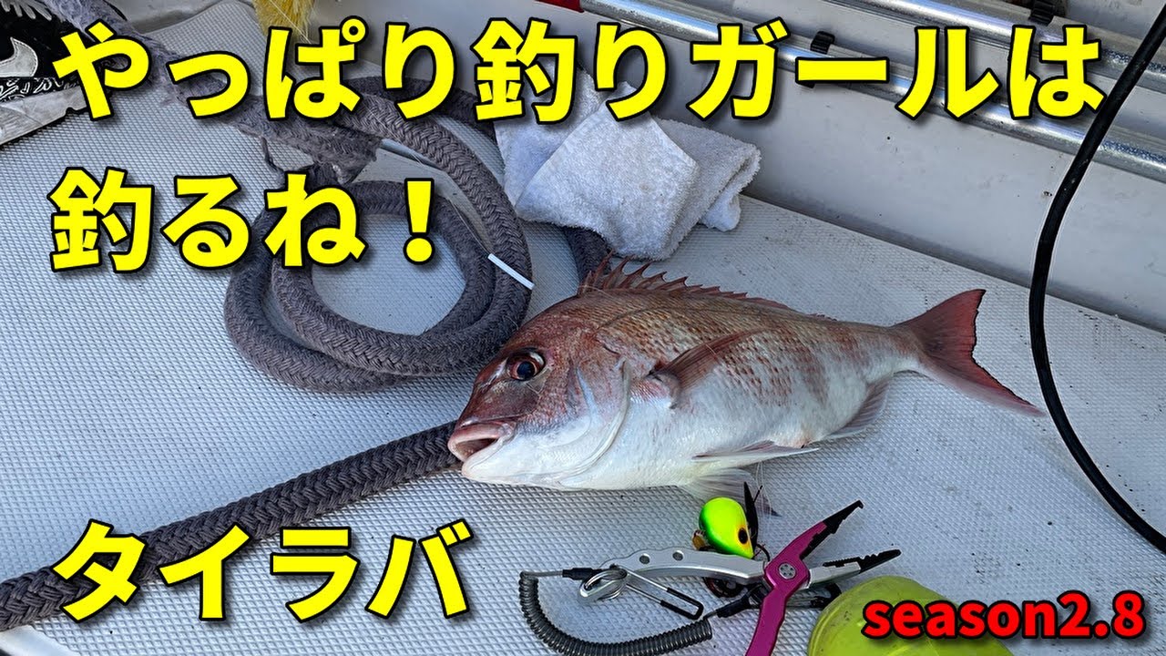やっぱり釣りガールはやるね 東京湾 真鯛釣り タイラバ釣り シーバス釣り ソルトルアーフィッシングの爆釣速報