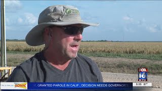 Arkansas farmers brace for Hurricane Ida impacts