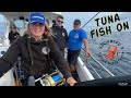 Boat fishing for tuna  uk bluefin tuna  charter boat fishing fishing tunafishing seafishing