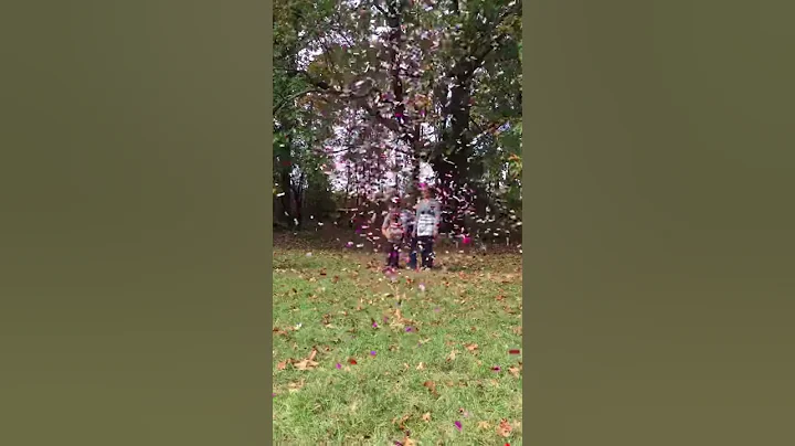 Gender reveal with the help of our 3yr old!