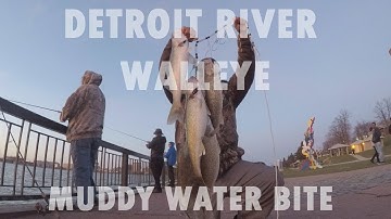 MUDDY WALLEYE Jigging- Detroit River Walleye Shore Fishing 2019