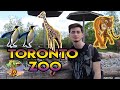 DÜNYANIN EN GÜZEL HAYVANAT BAHÇESİ! | TORONTO ZOO