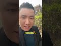 一夜之间六架战机被击落，中式装备太猛了#热门 #国际局势 #印巴冲突 #时事点评