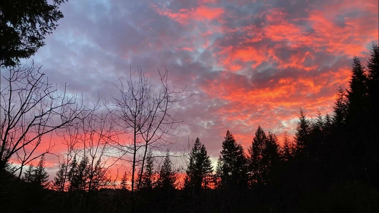 ベトウィスアコエドの自然 / Wild life and nature in BetwsyCoed YouTube