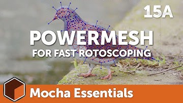 15a PowerMesh for Rotoscoping [Mocha Essentials]