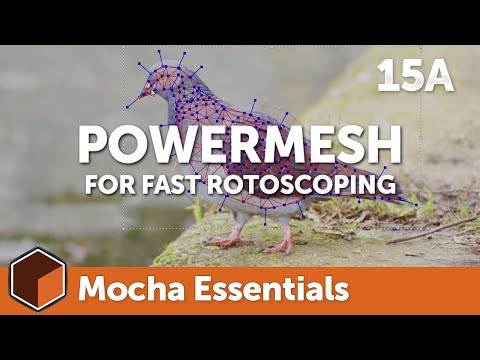 15a PowerMesh for