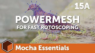 15a PowerMesh for Rotoscoping [Mocha Essentials]