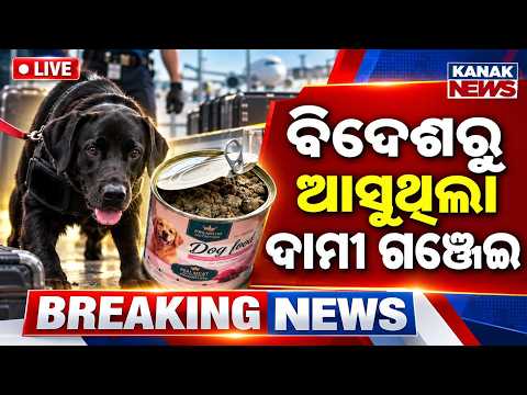 🔴ବିଦେଶରୁ ଆସୁଥିଲା ଦାମୀ ଗଞ୍ଜେଇ | High-End Cannabis Smuggled from Abroad in Dog Food Containers