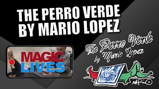 The Perro Verde by Mario Lopez | Magic Card Warp