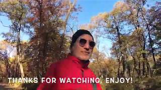 Springbrook State Park  A walk through the woods Oct 25, 2019