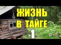 СЛУЧАЙ НА ЗИМОВКЕ | ЖИЗНЬ В ТАЙГЕ 1 из 2