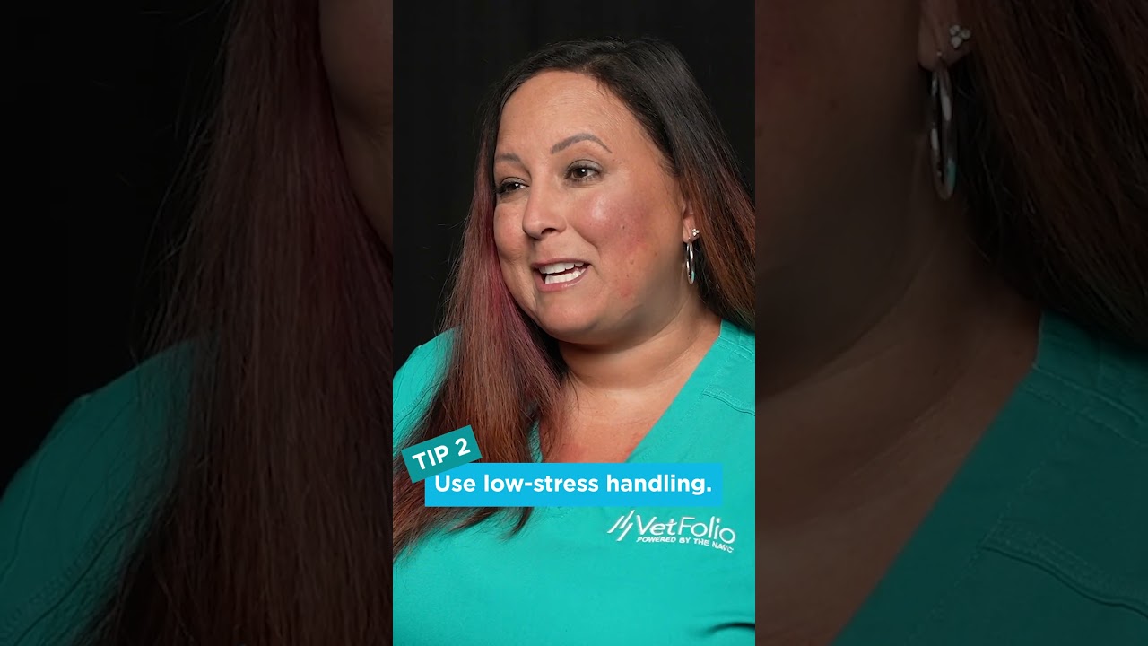 Shelter Medicine for Techs! | Pro Tips