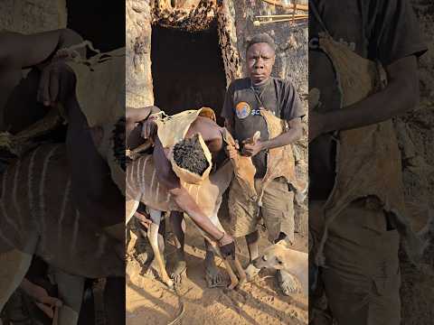 Look Brave Chaabaa How He Managed To Hunt Chaabaa Dudukwe Fblifestyle Shorts Video Food