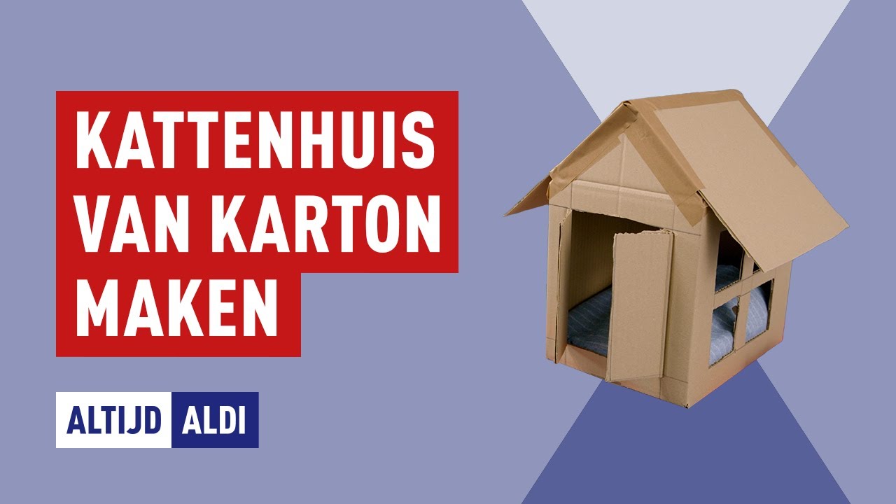 Zeebrasem Inactief kijken Een kattenhuis maken van karton | Altijd ALDI - YouTube