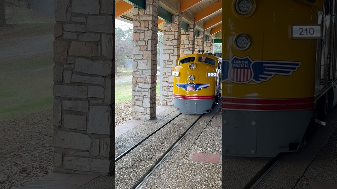 Train Ride at San Antonio Zoo 