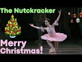 Christmas NUTCRACKER - SUGAR PLUM FAIRY & Kimin Kim (Mariinsky Ballet)