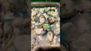 Talaba
