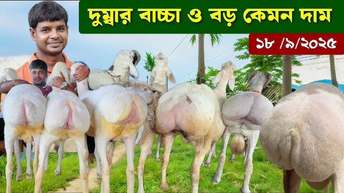 Murakkab porno pozalar onlayn