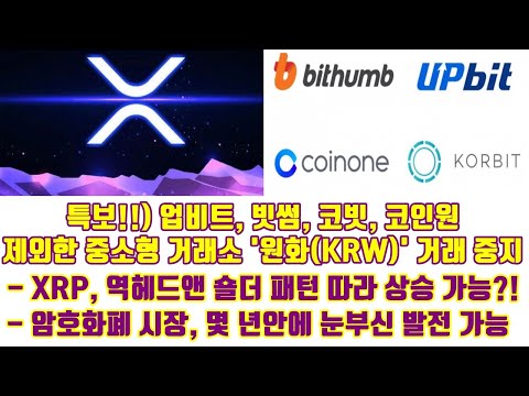   리플 비트코인 특보 업비트 빗썸 코빗 코인원 제외한 중소형 거래소 원화 KRW 거래 중지 XRP 역헤드앤숄더 패턴 따라 상승 가능 암호화폐 시장 몇년안에