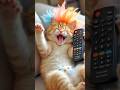 Best Puppy Cat Dance рџђ Dogdance Doggydance Puppydance Catdance Best Puppy Cat Dance рџђ Dogdance Doggydance Puppydance Catdance
