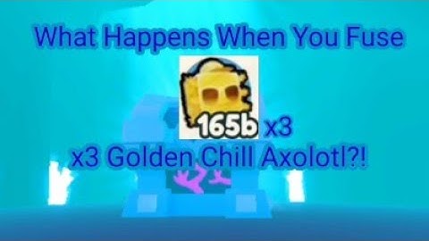 WHAT HAPPENS WHEN YOU FUSE x3 Golden Chill Axolotl?! | Pet Simulator X