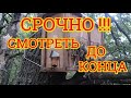 ЭТО МОГУТ БЫТЬ ВАШИ ПЧЁЛЫ!!!