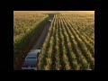 El Camino (Pelicula Completa) - YouTube