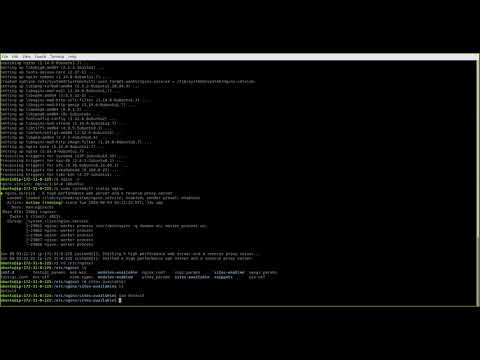 nginx configuration in