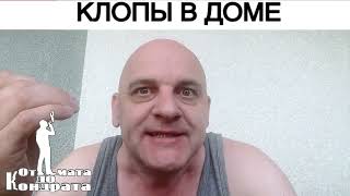 Клопы В Доме