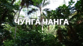 ЧУНГА ЧАНГА   Из Мультфильма Катерок