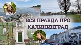картинка: Калининград: зарплаты в it, стоматология, эстетическая косметология, насекомые, сырость, море