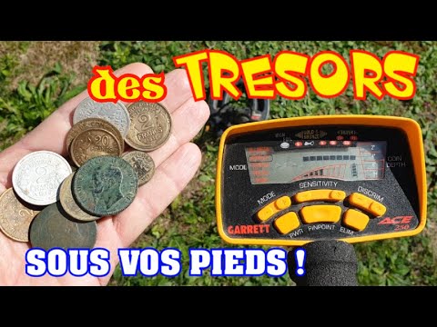 DETECTION EN SOUS BOIS - MONNAIES de 1880 et 1950
