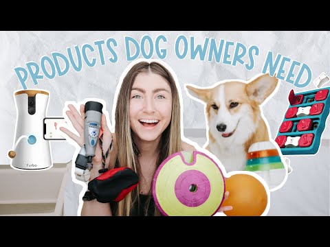 Video: 15 Absurdinių šunų produktų, kuriuos reikia matyti