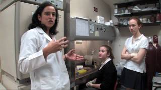Holiday Lecture Preview