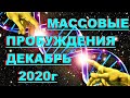 ✔ *ВАЖНО* « Массовые пробуждения декабря 2020 г ! »