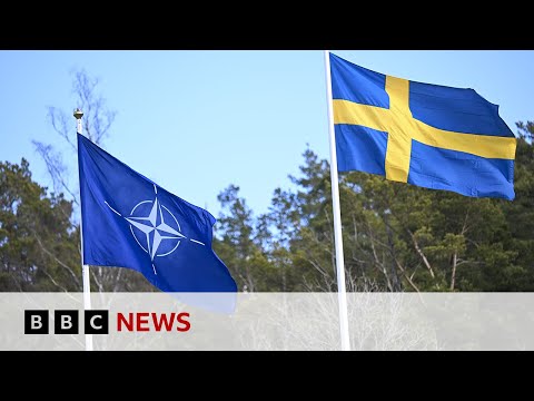 Sweden and Finland join Nato military exercises | BBC News