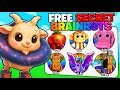 ADMIN ABUSE SECRET CRATE OPENING! (Brainrot Evolution Roblox)