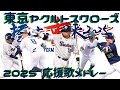 東京ヤクルトスワローズ 選手応援歌メドレー 2025 Feat 夢ノ結唱 ROSE