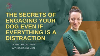 The Secrets of Engaging Your Dog Even If Everything Is a Distraction | The Canine Decoded Show #6