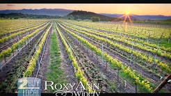 Winery in Medford Oregon - RoxyAnn Winery