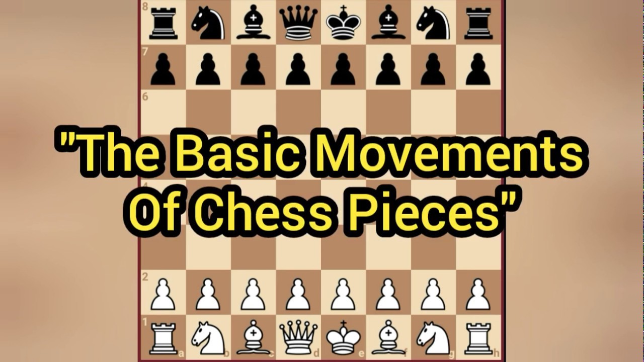 The Basic Movements of Chess Pieces - YouTube